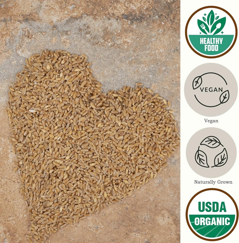 Be Still Farms Organic Einkorn Grains (4.8 lb) - Whole Ancient Grains for Soup, Flour, and Bread - Image 3